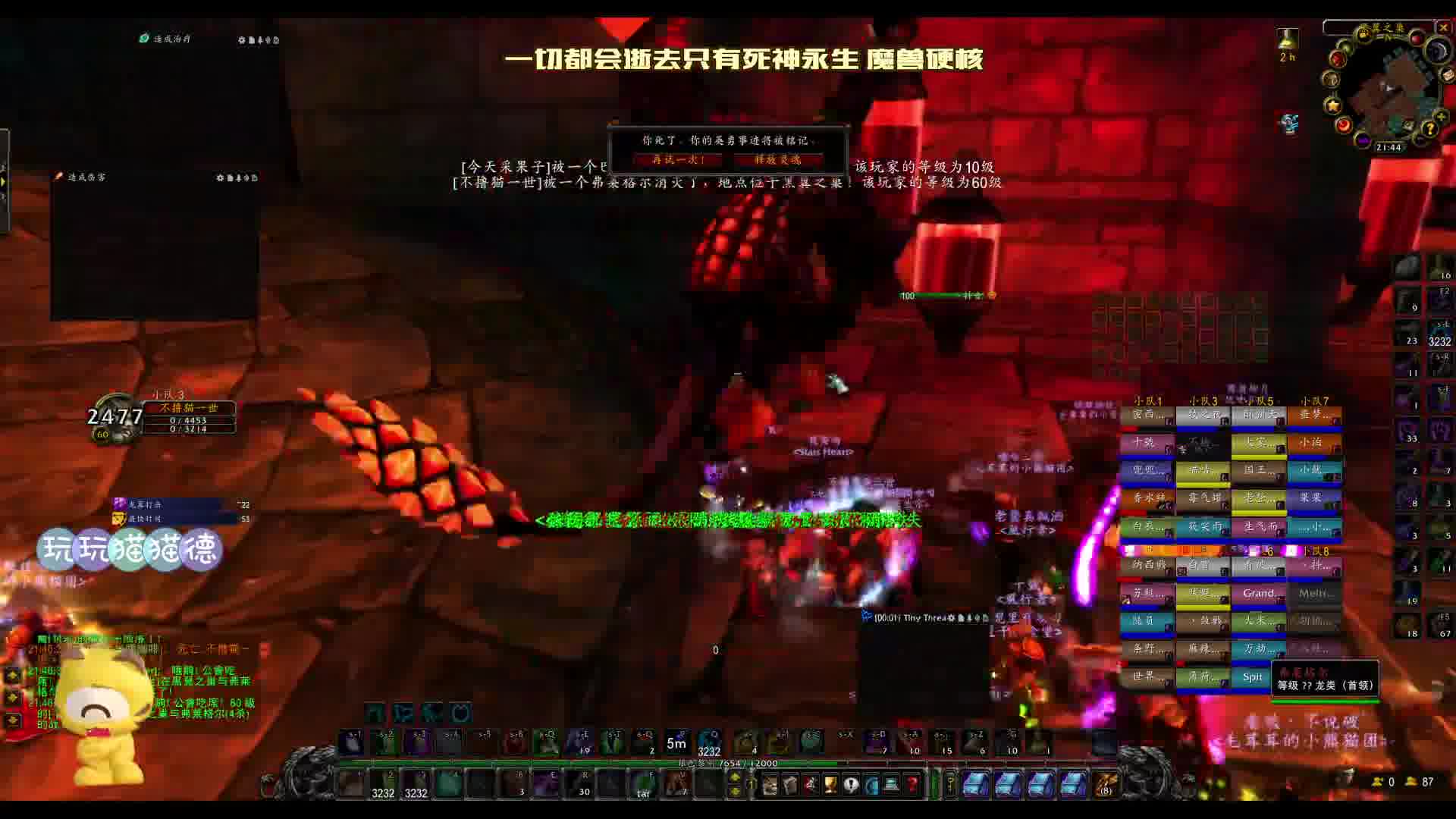 暴雪法师爱好者魔兽国服硬核模式-猫猫德一世没了