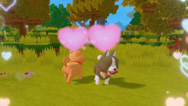 【迷你世界】你们培育出隐藏花色了吗？！