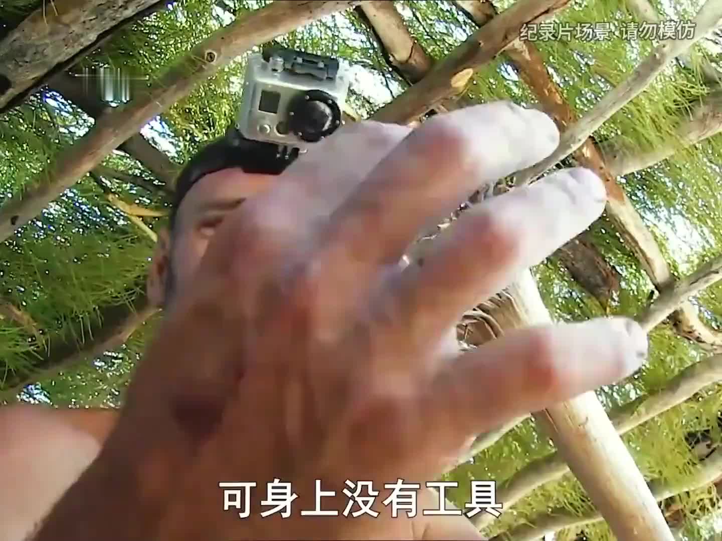 海胆刺身，美味椰子，碳烤海鲜，德爷吃的真好(3)