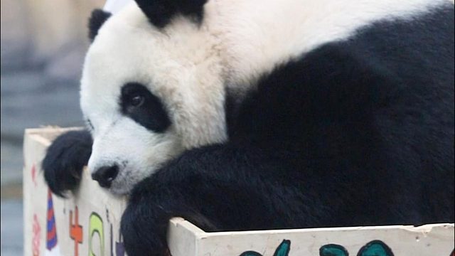 友情客串一集”捣蛋鬼“