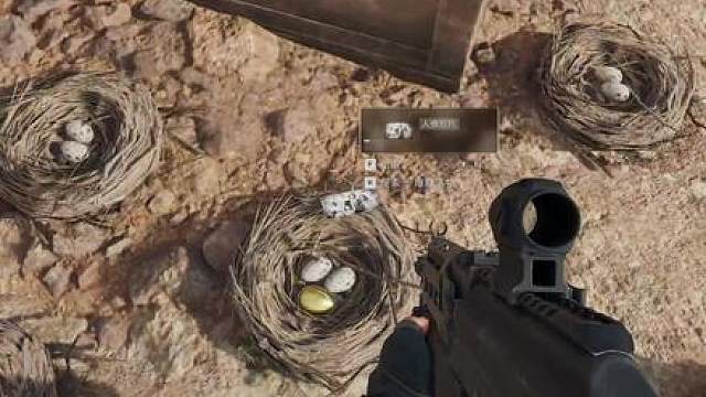 谁发明的快速获取周年鸟窝鸟蛋