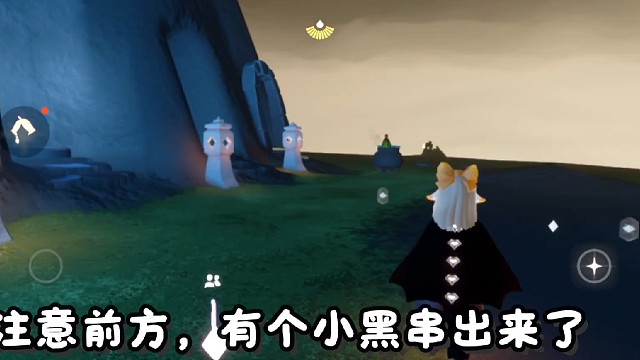 这个小黑是…白鸟的？