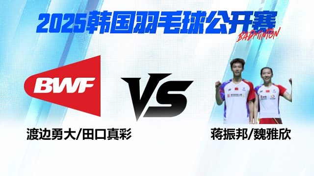 混双 渡边勇大/田口真彩vs魏雅欣/蒋振邦 1/8赛 2025韩国羽毛球公开赛 龙宝解说