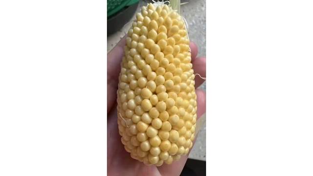 这谁看了不迷糊啊