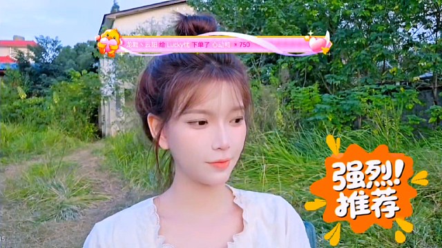 集梦最美的女人一姐王京