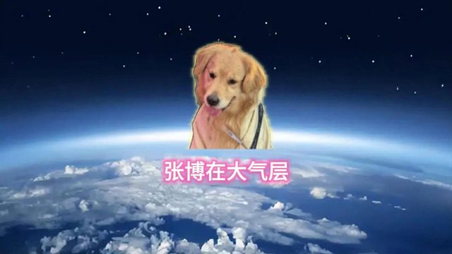 这波张博在大气层！