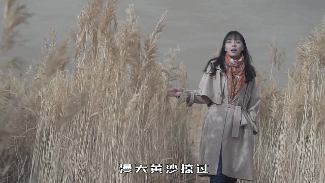 沙漠骆驼自制mv翻唱【小板娘萌太奇】