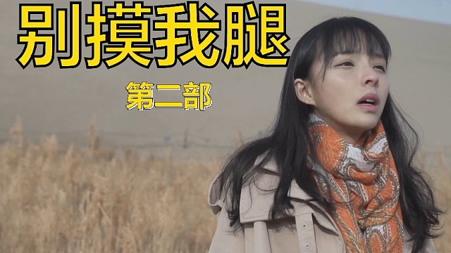 别摸我腿 第二部 【板娘】