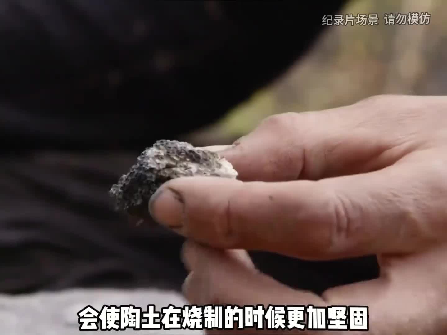 开局就送一头麝牛，坚持到最后瓜分美金(3)