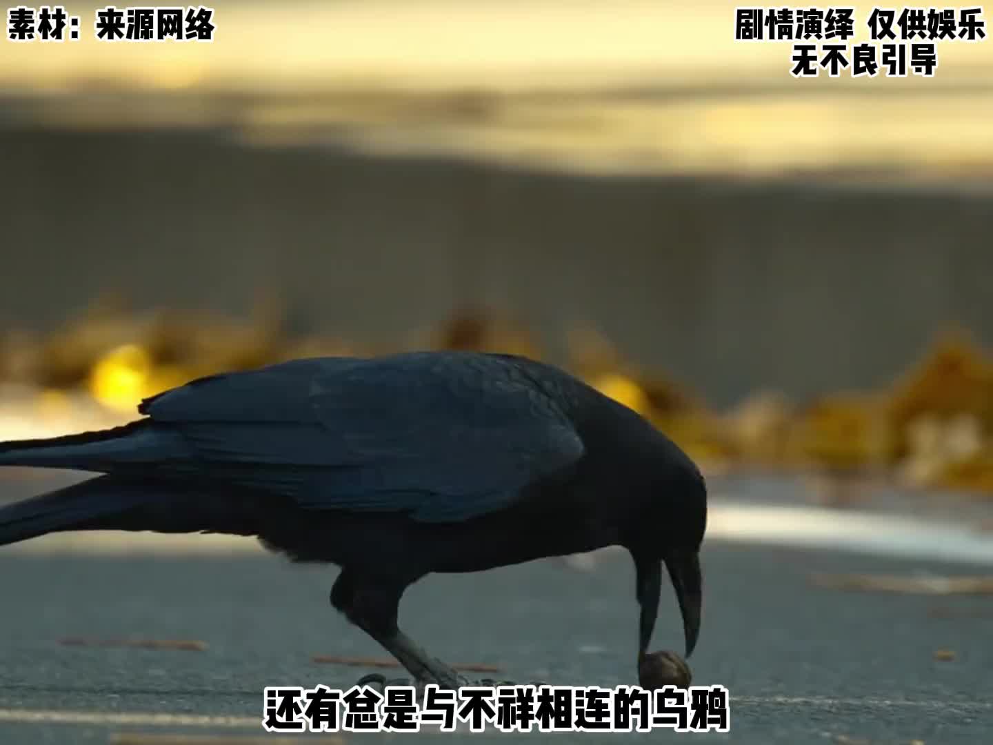 原来被我们误解的动物这么多