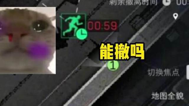 三角洲行动鼠鼠直播日常