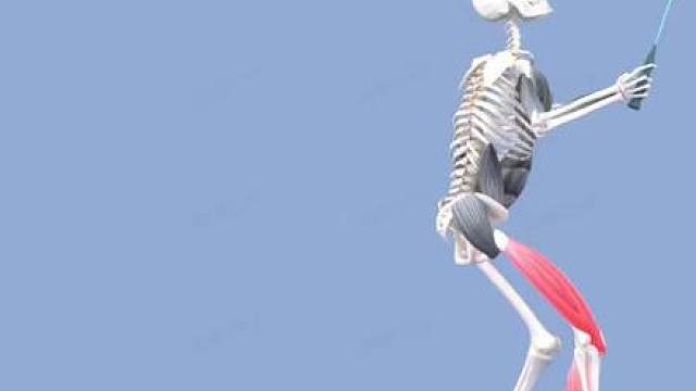 蹬转杀球发力链