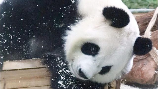 来跟语大王运动运动~