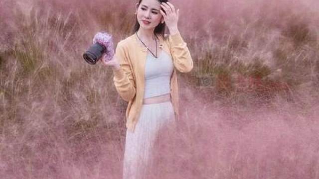 粉黛草拍照常见的错误，与解决方法