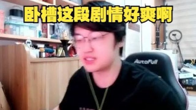 树叶看鸣潮剧情看爽了