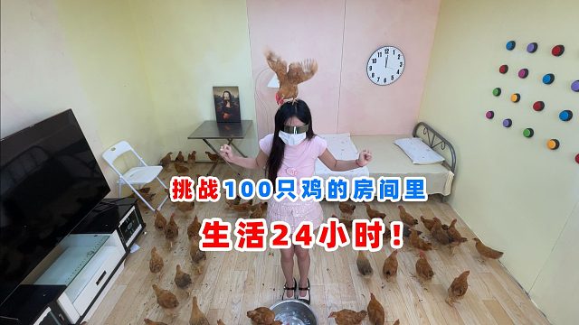 侠客红尘：挑战100只鸡的房间里生活24小时，简直臭气熏天！