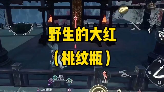 野生的大红你没见过吧？