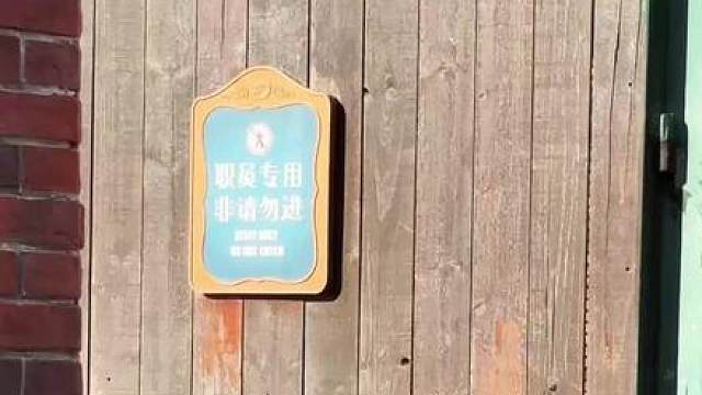 这是楚雨荨吗？