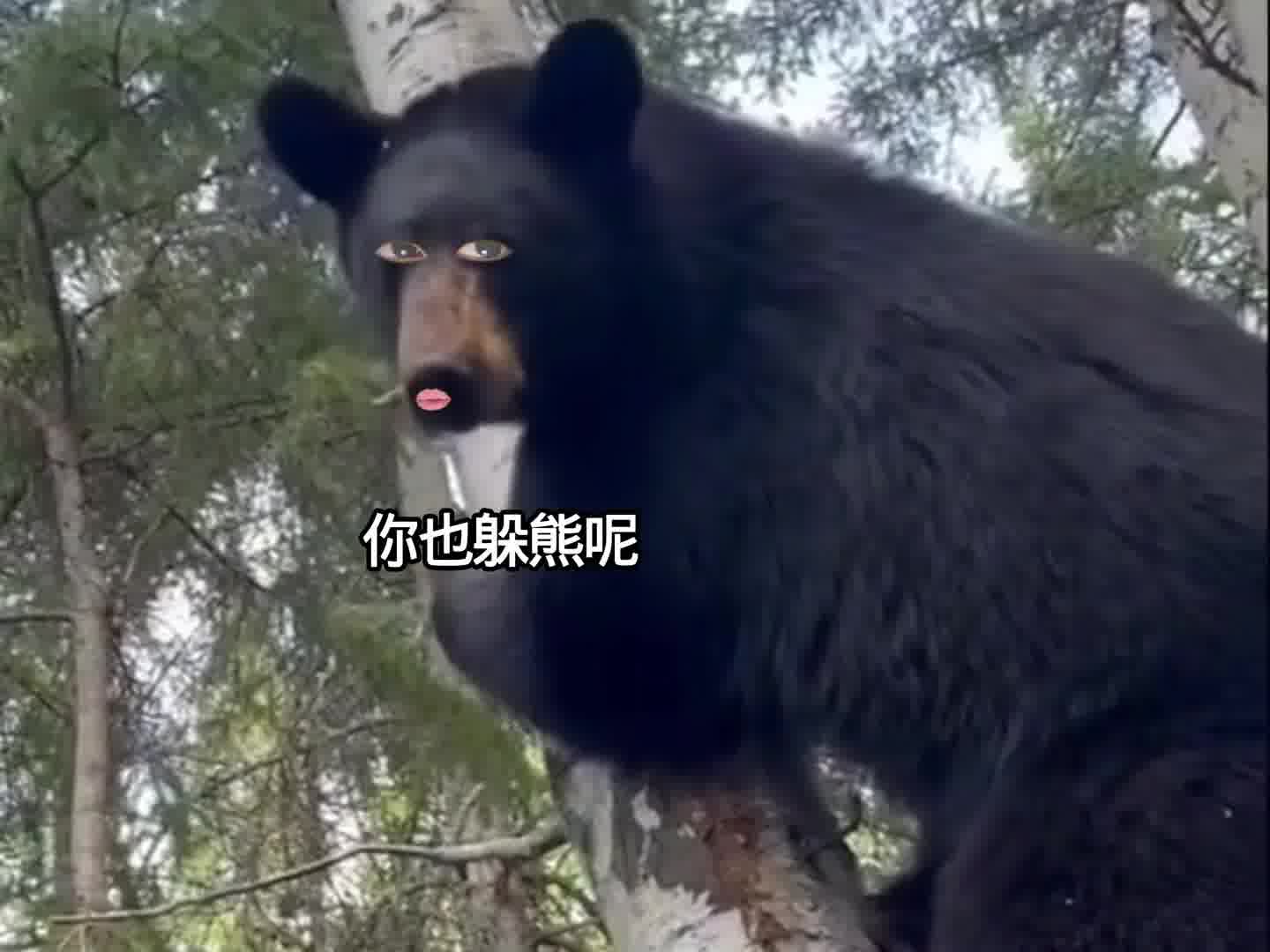 ：敌人的敌人就是朋友