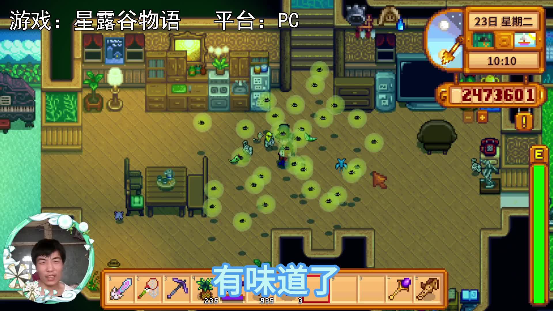 【星露谷物语】绿雨，萤火虫与宝可梦!