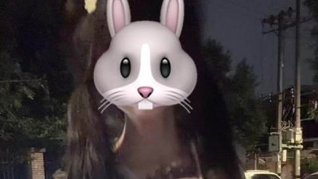 把酷学起来 从此做个冷酷的人