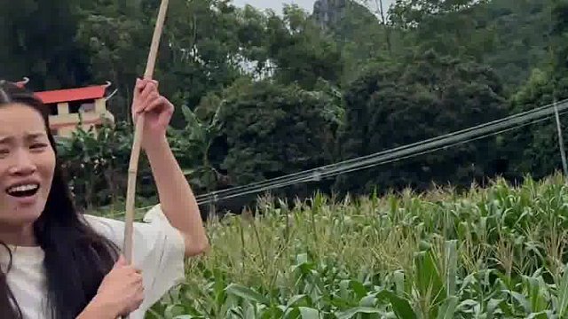 山河锦绣 盛世华章