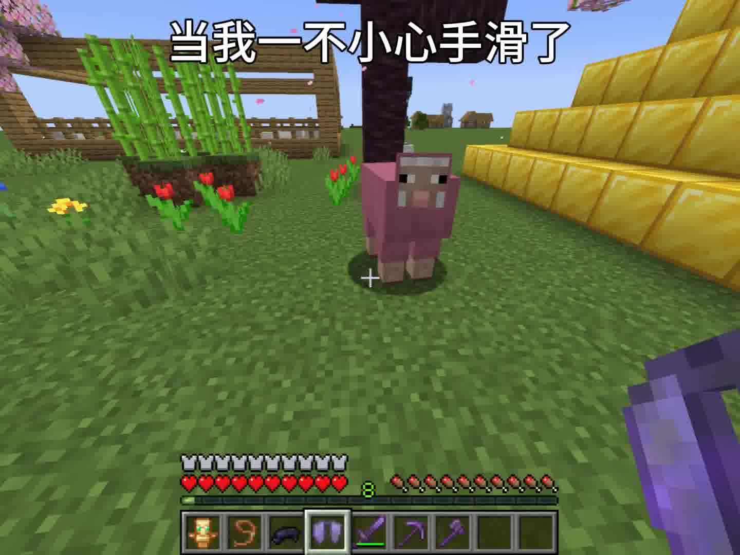 当我不小心把服务器唯一个粉色羊给染了色！