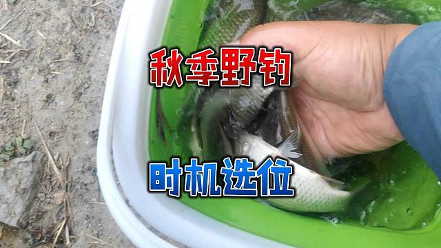 同样的钓位，为啥有人连杆有人空军？这种情况别选人多的地方