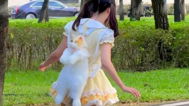 滑板幅度太大 差点把猫猫给甩飞出去()