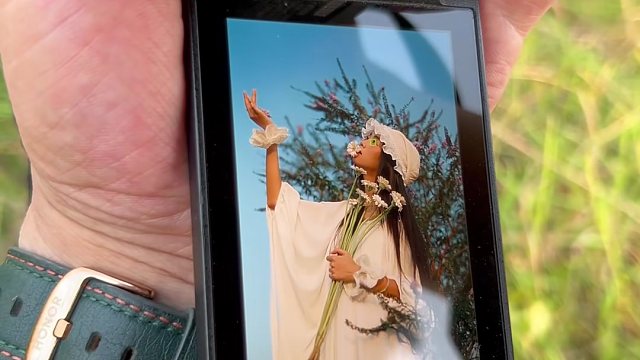 蓝调时刻的自然旷野