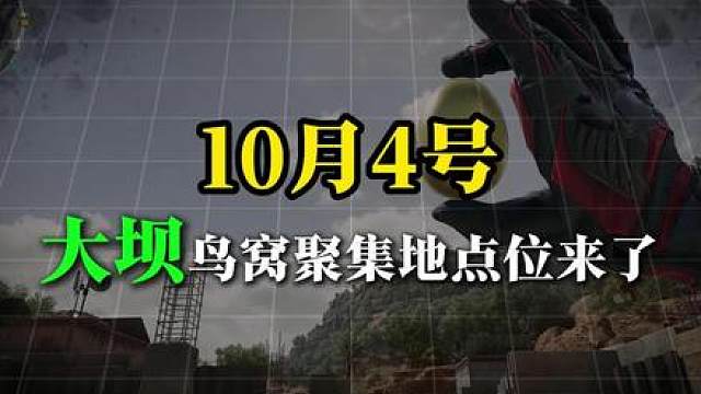 10.4号大坝鸟窝聚集地点位来了!得吃鼠鼠们快来!