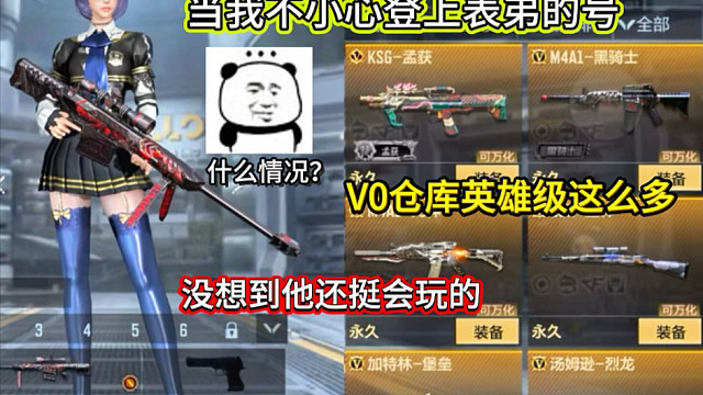 没想到，V0号仓库都有这么多的英雄级！