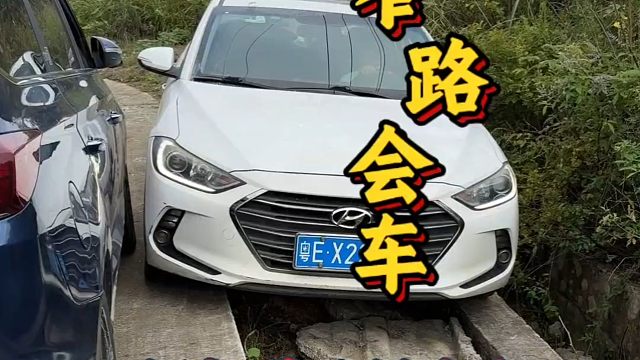 乡村窄路两车相遇，老司机上演：排水渠会车