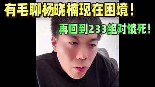 集夢有毛分析楊曉楠現(xiàn)在困境！再回到233得餓死！