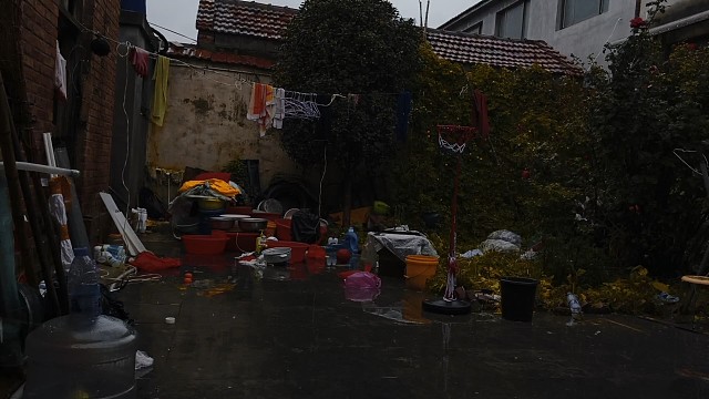 雨不停了，还好有间屋给你们遮风挡雨。