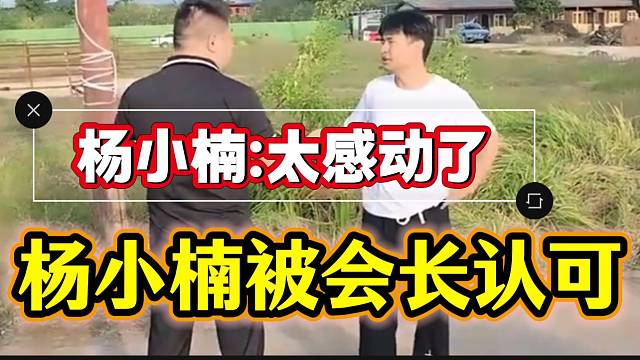 杨小楠被集梦会长认可后感动，得到会长认可太不容易了！