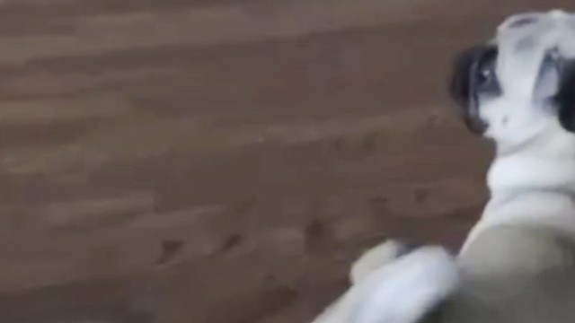 大号抽不到小号来体验