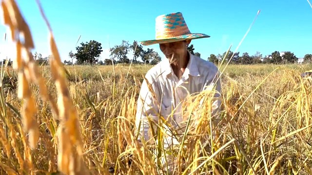 冠军.乔和你ー起创造美好世界