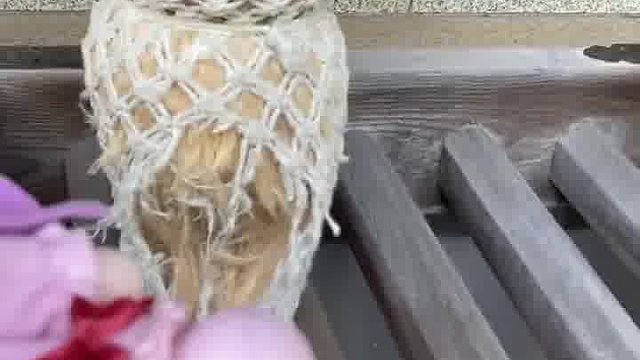 生日来祈个福(,,>᎑<,,)