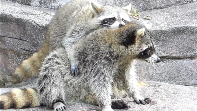 有了一位超粘人的对象是什么体验~
