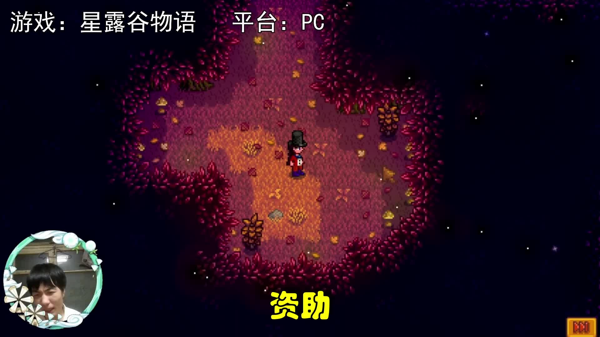 【星露谷物语】这个地方竟然能水上漂？