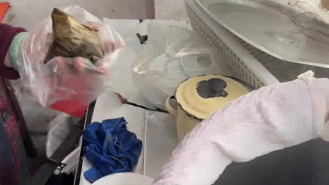 潮汕的甜咸双拼粽有多好吃