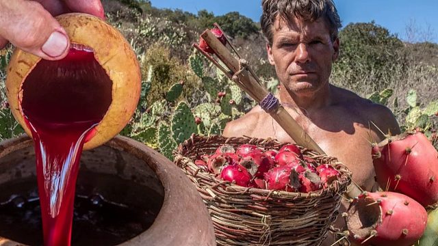 一个人的荒野生活，食物淡薄缺乏，机智采摘仙人掌果来酿酒保存！