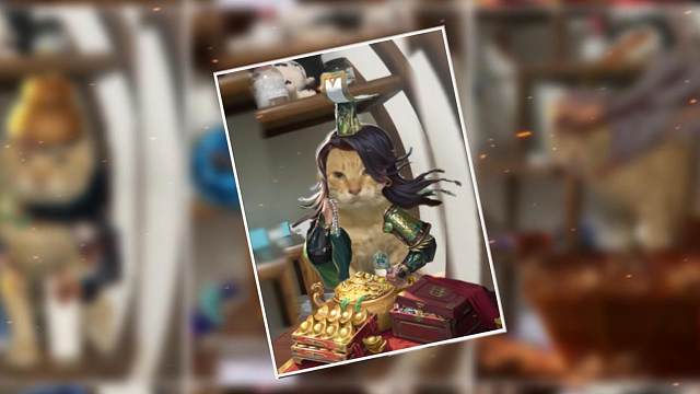 主播主播，有没有简单又强势的武将推荐一下？