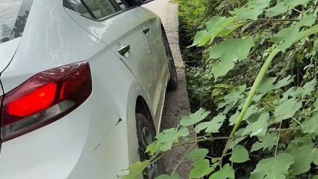 乡村窄路偶遇女司机，这技术没得两年半练不出来，高手在民间！