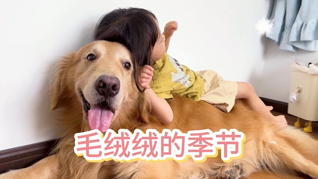 狗子:换季了我也要换衣服！