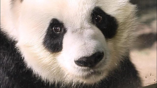 星愿向你发出贴贴申请