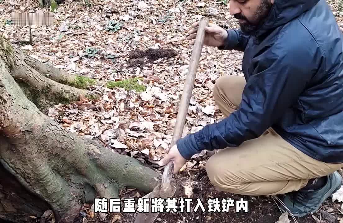 利用森林的古树搭建树洞庇护所，内部安全温暖！(1)