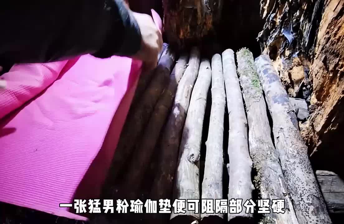 利用森林的古树搭建树洞庇护所，内部安全温暖！(3)