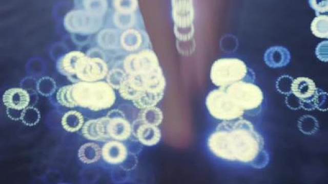 回想荒野上的夏天